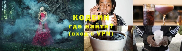 стаф Инта