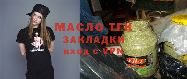 индика Зеленодольск