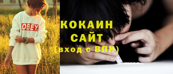 индика Зеленодольск