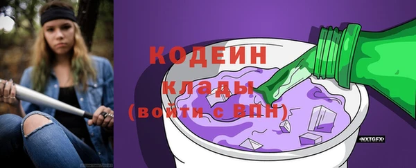 индика Зеленодольск