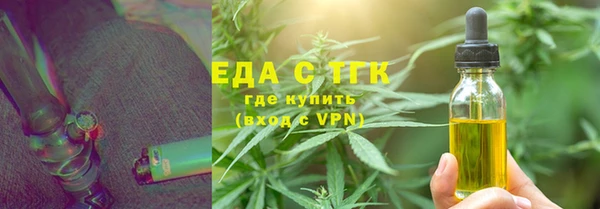 индика Зеленодольск