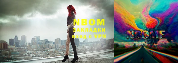 индика Зеленодольск