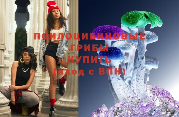 стаф Инта