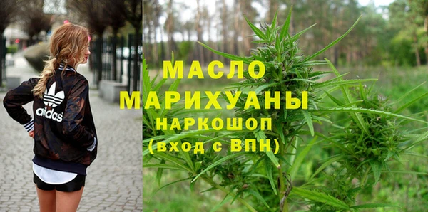 индика Зеленодольск