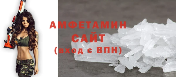 индика Зеленодольск