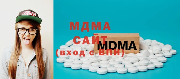 индика Зеленодольск