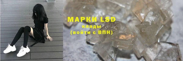 мяу мяу мука Иннополис