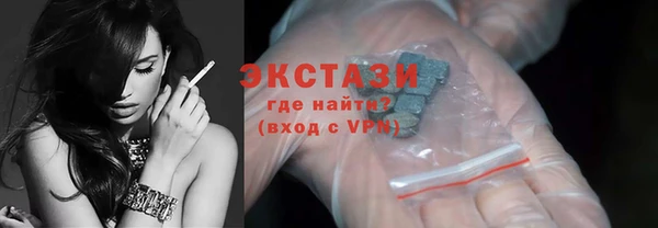 стаф Инта