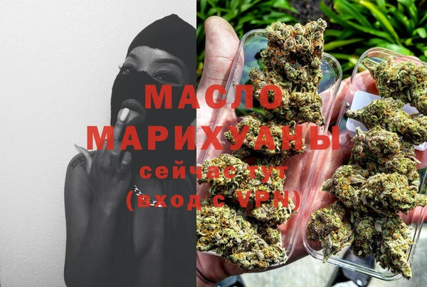 мяу мяу мука Иннополис