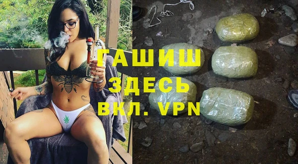 индика Зеленодольск
