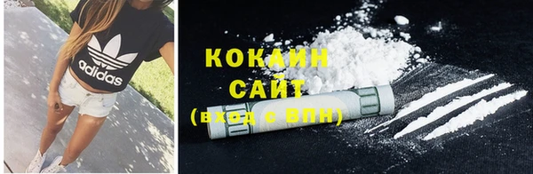 ГАЛЛЮЦИНОГЕННЫЕ ГРИБЫ Инсар