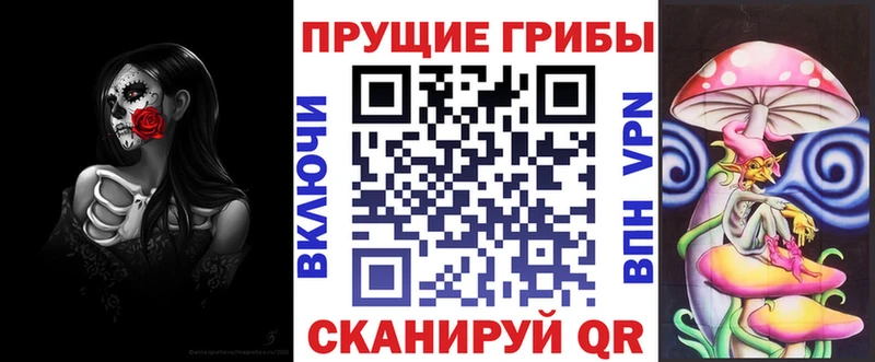Купить где  Верхняя Салда  Псилоцибиновые грибы Cubensis 